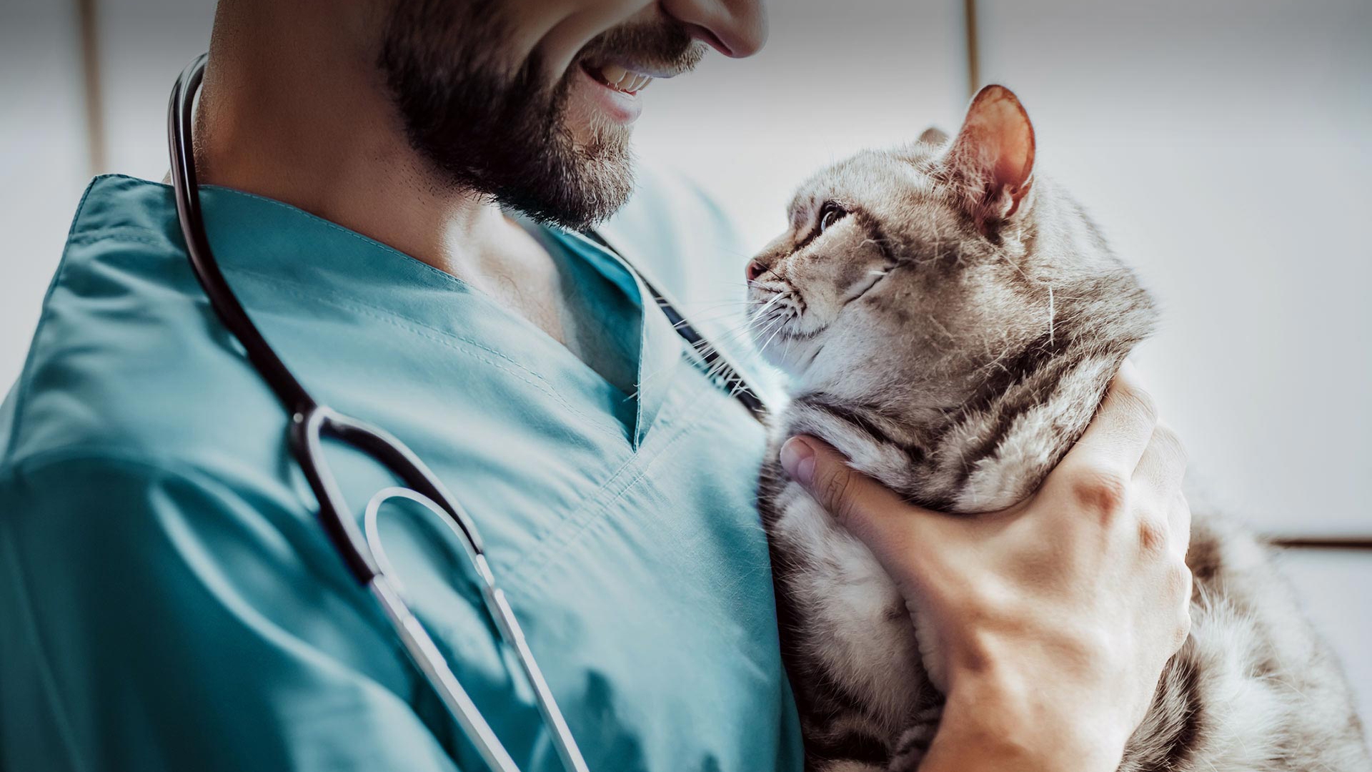 Merkezefendi Veteriner